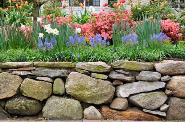 Stone Wall Hardscaping in Wilmington
